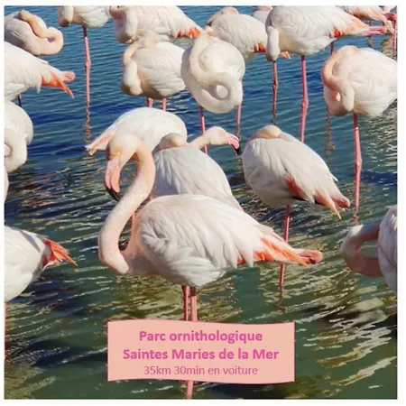 Magnifique Vue Et Terrasse Garage Clim Wifi - Rossiconciergerie - Linge Inclus